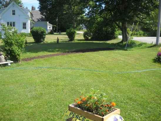 lawnfixed.jpg
