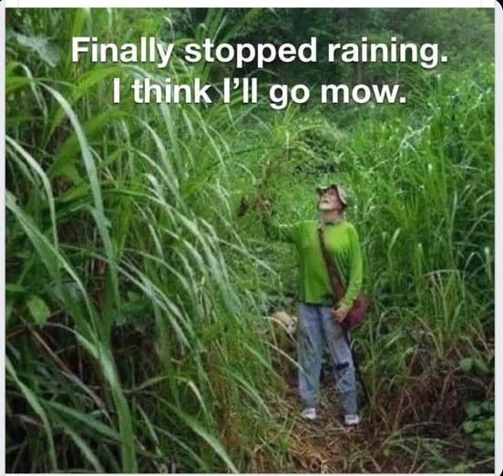 mow.jpeg